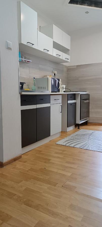 Lora'S House Daire Oradea Dış mekan fotoğraf